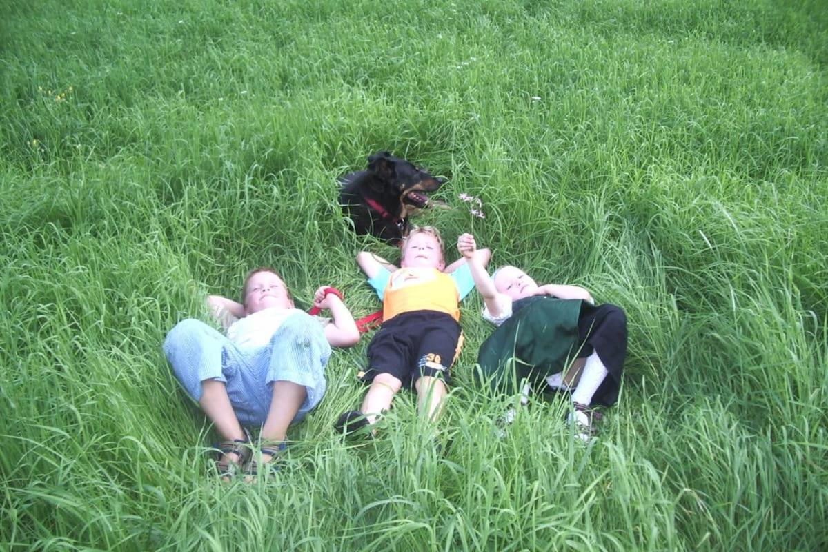 Huette Zum Verlieben Gurk ภายนอก รูปภาพ