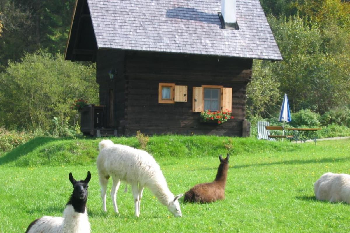 Huette Zum Verlieben Gurk ภายนอก รูปภาพ